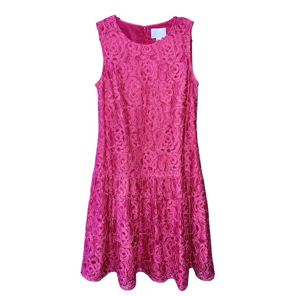 CeCe by Cynthia Steffe Pink Lace Flare Dress